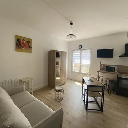 Studio Renove Proche Plage Et Commerces, Lumineux, Equipe, Situe Au 1er Etage Avec Stationnement Proche - Fr-1-730-50 *